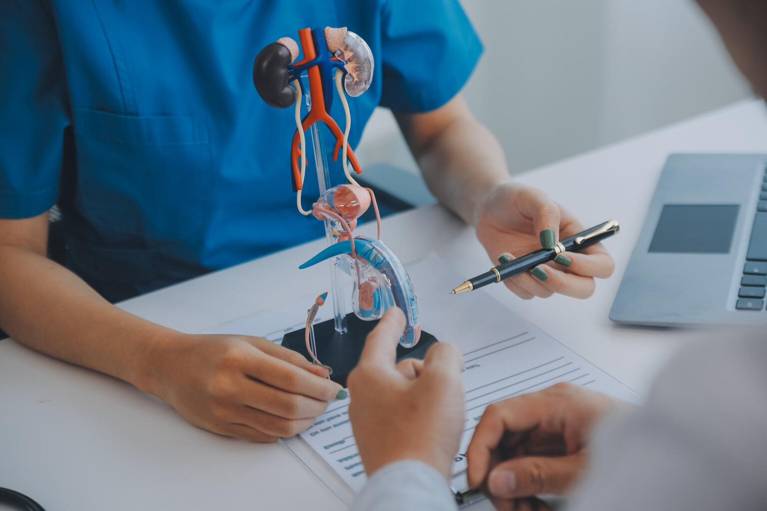 Urologische Untersuchung