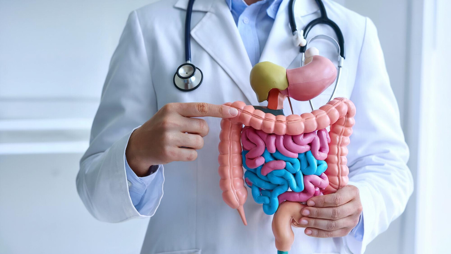 Gastroenterologie